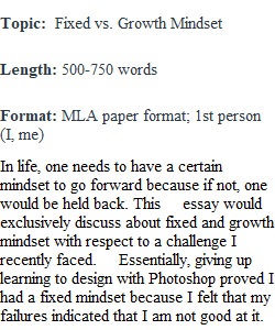 Essay 2 Final Draft